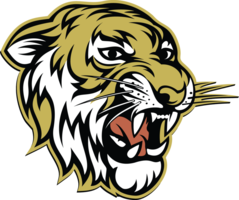 Excelsior Springs JV Boys' Basketball Tournament